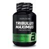 Tribulus Maximus | BBike Belleville